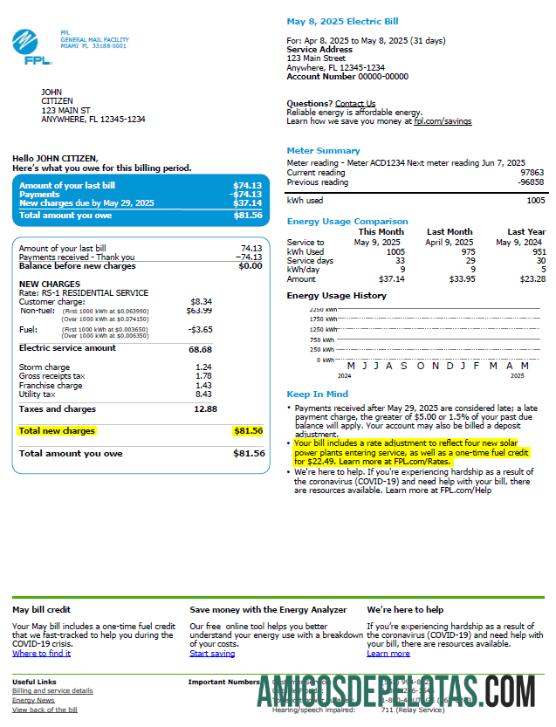 em branco Modelo de fatura de serviços públicos FPL dos EUA em formatos Word e PDF, versão 2